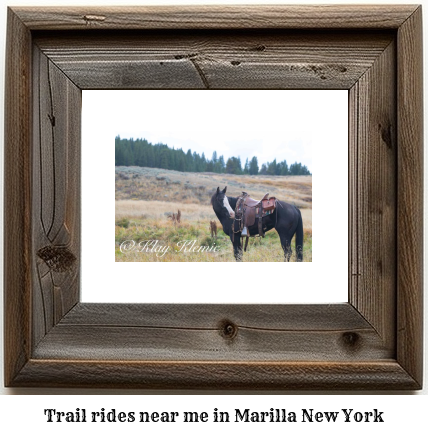 trail rides near me in Marilla, New York